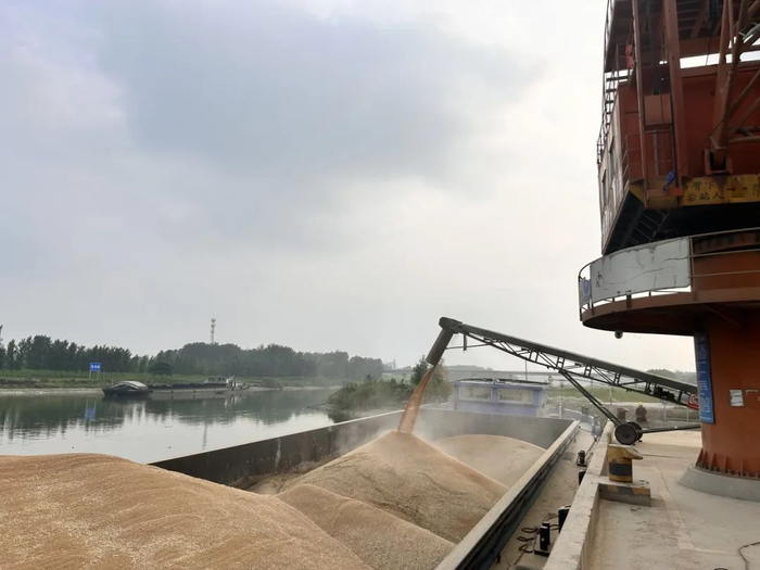 ▲客户供应的小麦正在装船，随后将被送往相关专业化公司