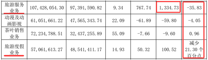 来源：祥源文旅2024年年报