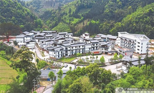 百坭村新貌。唐晓薇 摄