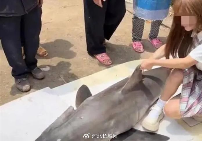 网红博主“提子”此前发布视频截图。