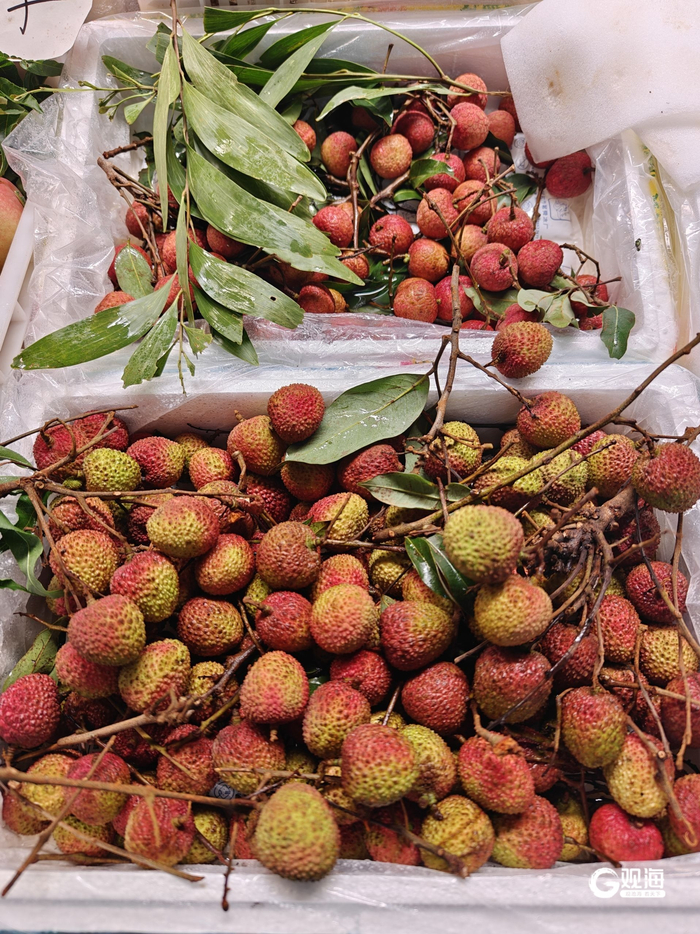 目前妃子笑荔枝市场售价在7-10元区间。