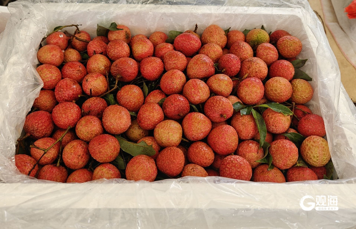 精品荔枝果售价普遍在10元一斤以上。