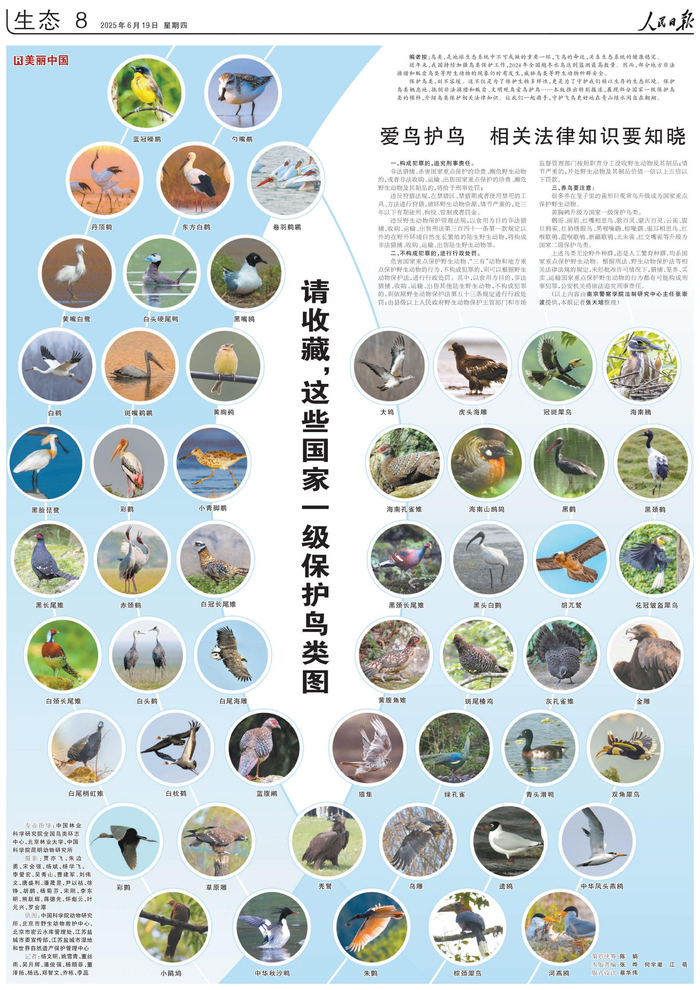 请收藏,这些国家一级保护鸟类图