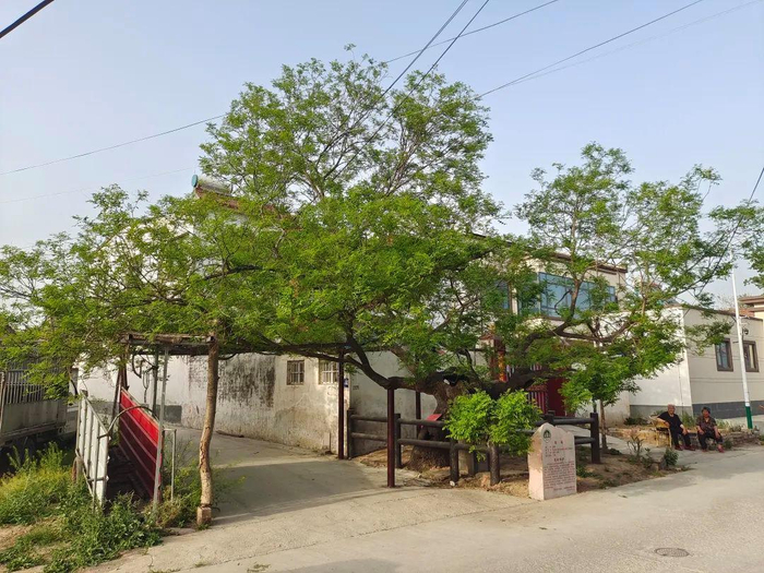 ▲河南新密市曲梁镇大樊庄村村景 据大河网