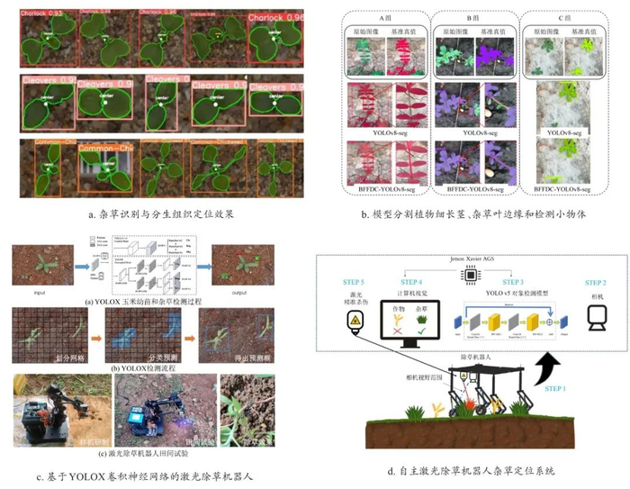 图7　田间杂草识别主要技术