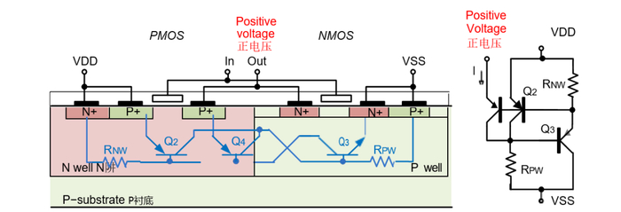 图 1. 带标记的寄生双极晶体管逆变器截面图和寄生双极晶体管示意图
