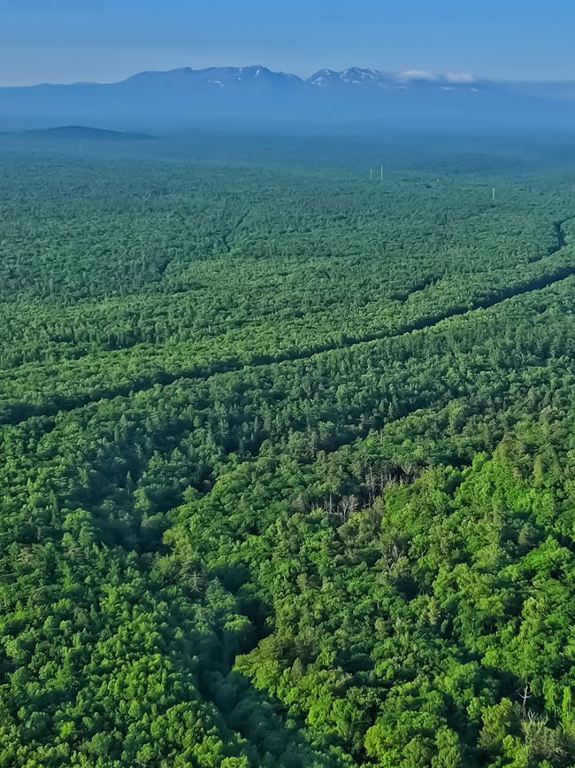 远眺长白山。人民网记者 李洋摄