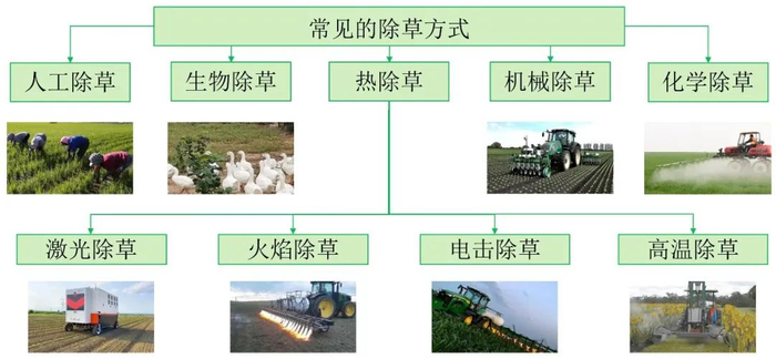 图1　常见的除草方式