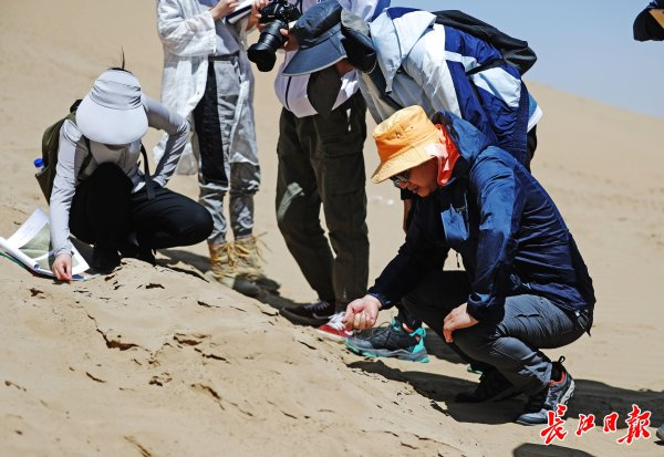 中国地质大学（武汉）行星科学研究所所长肖龙和学生在柴达木盆地科研。记者何晓刚 摄