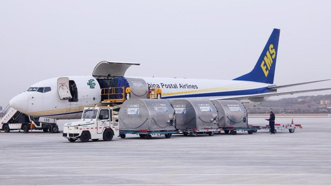 邮政全货机进行货物卸载作业。张斌/摄