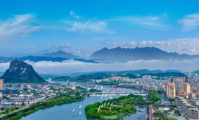 松阳县城。松阳县农业农村局供图