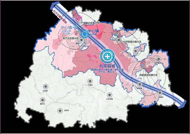 主轴图。松阳县农业农村局供图