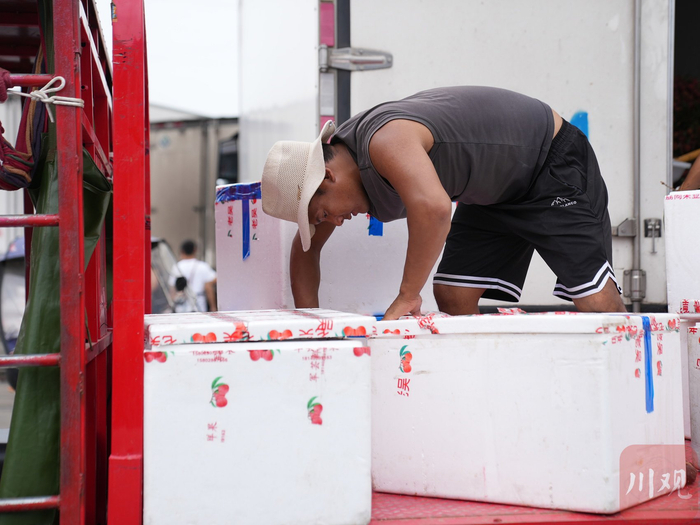 6月20日，四川雨润国际农产品交易中心荔枝销售区，工人正在将荔枝搬下冷藏车。