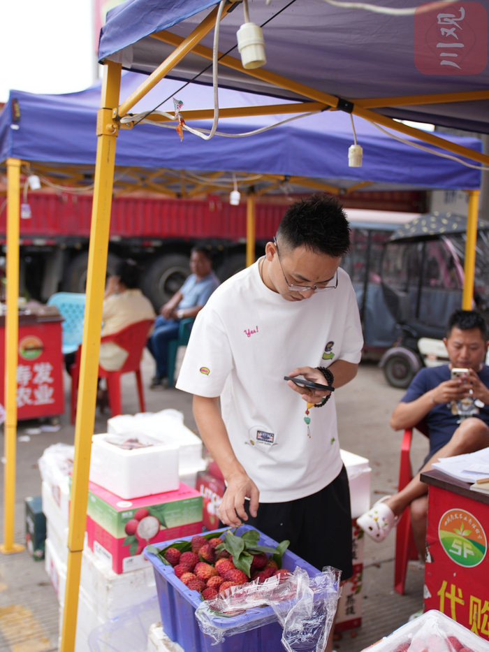 荔枝经销商看货。