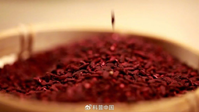 图库版权图片，转载使用可能引发版权纠纷