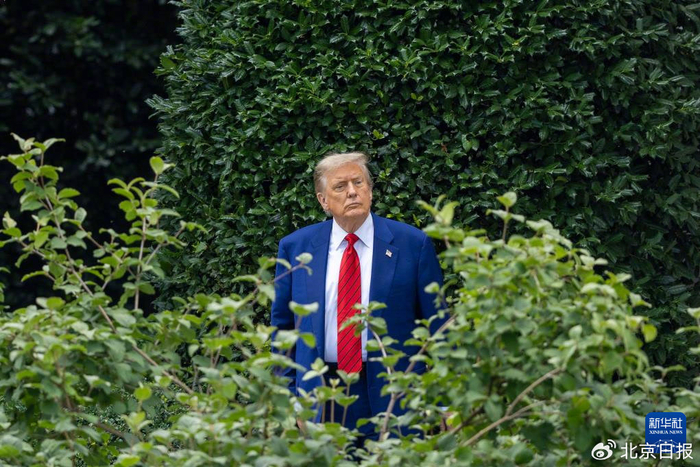 6月20日，特朗普在白宫。 新华社记者 胡友松摄