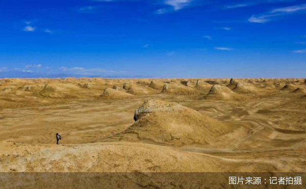 北京商报记者 关子辰 牛清妍