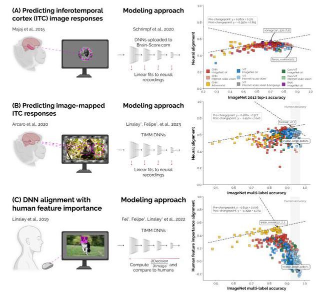 （来源：arXiv）