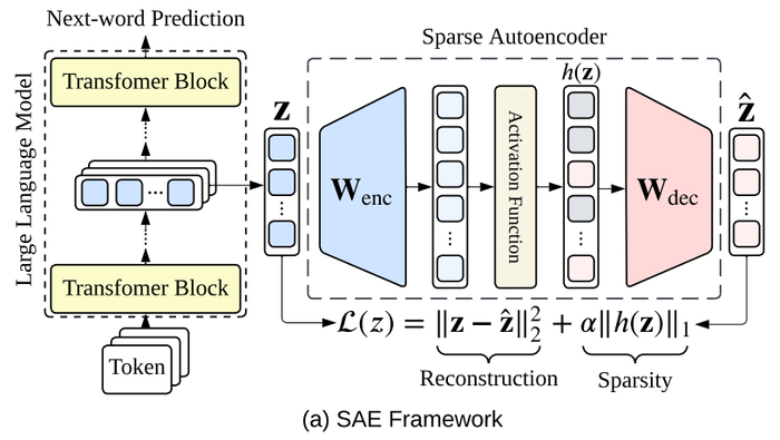 （图 1）：该图展示了 SAE 的基本框架。
