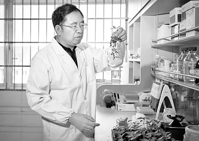 中国工程院院士邹学校