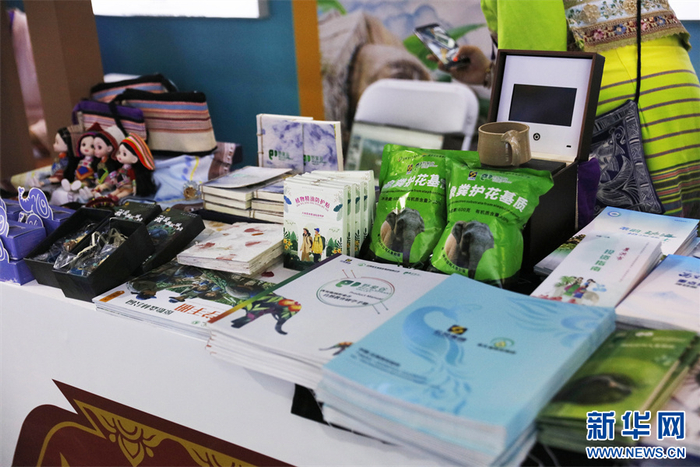 西双版纳展区展示的雨林相关产品（6月19日摄）。新华网发（冯雨钐 摄）