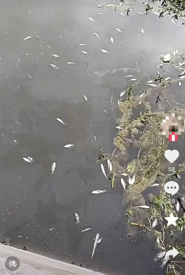 网友投诉截图