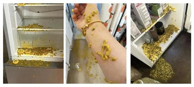 △图片源于网络