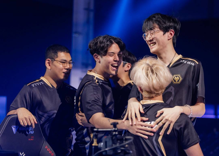  WOL战队首次参加世界赛便取得了季军的好成绩