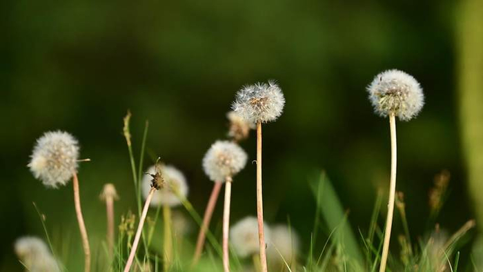 尼康Z5 II微单4K视频原片截图