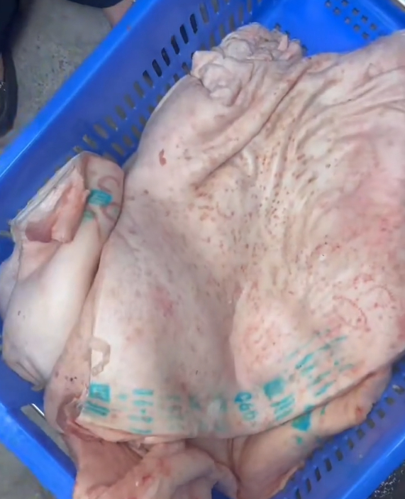 网友反映富顺县华英实验学校采购劣质猪肉。网传视频截图
