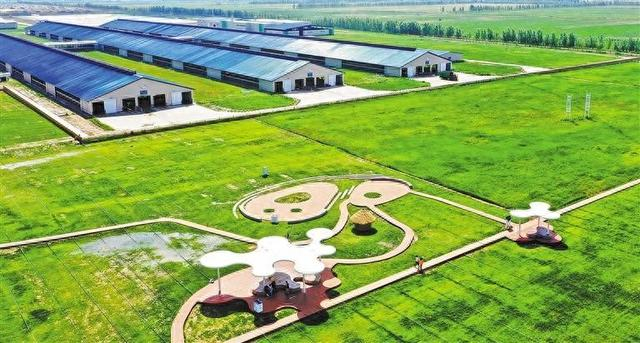 伊利集团位于内蒙古呼和浩特土默特左旗的敕勒川生态智慧牧场。（资料图片）