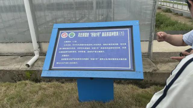 ▲盱眙小龙虾养殖示范基地