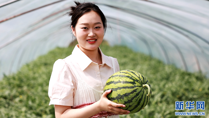   一位游客在郭庙镇西瓜种植基地展示自己采摘的西瓜。新华网发（徐浩 摄）