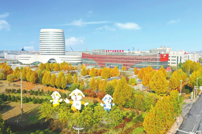 南和区宠物产业奥特莱斯鸟瞰图。（资料图片）