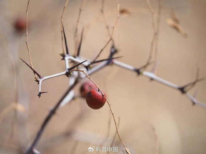 图库版权图片，转载使用可能引发版权纠纷