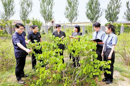     承德中院联合多部门查看补植复绿执行情况。赵 宇摄