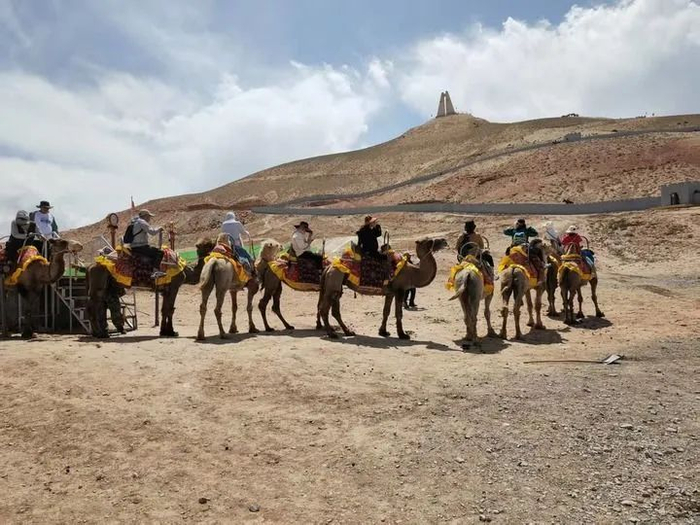 6月23日游客骑骆驼游览西极时光景区