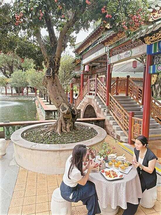 ■食客在宝墨园品尝鲜做荔枝宴。