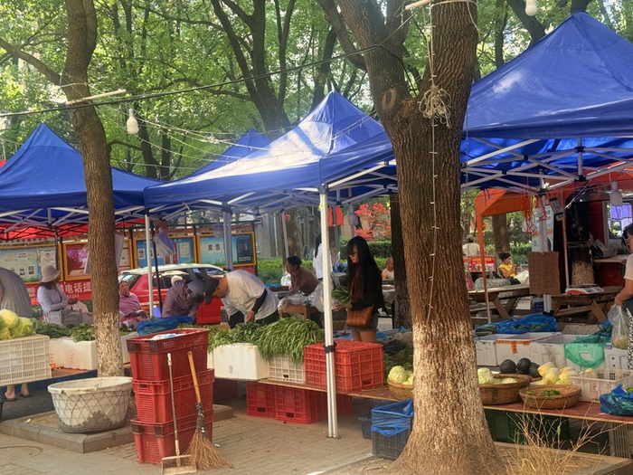 龙泽苑的便民蔬菜水果集市。 王海燕摄