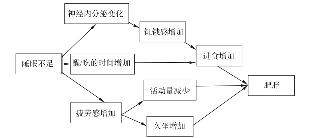 睡眠影响体重示意图