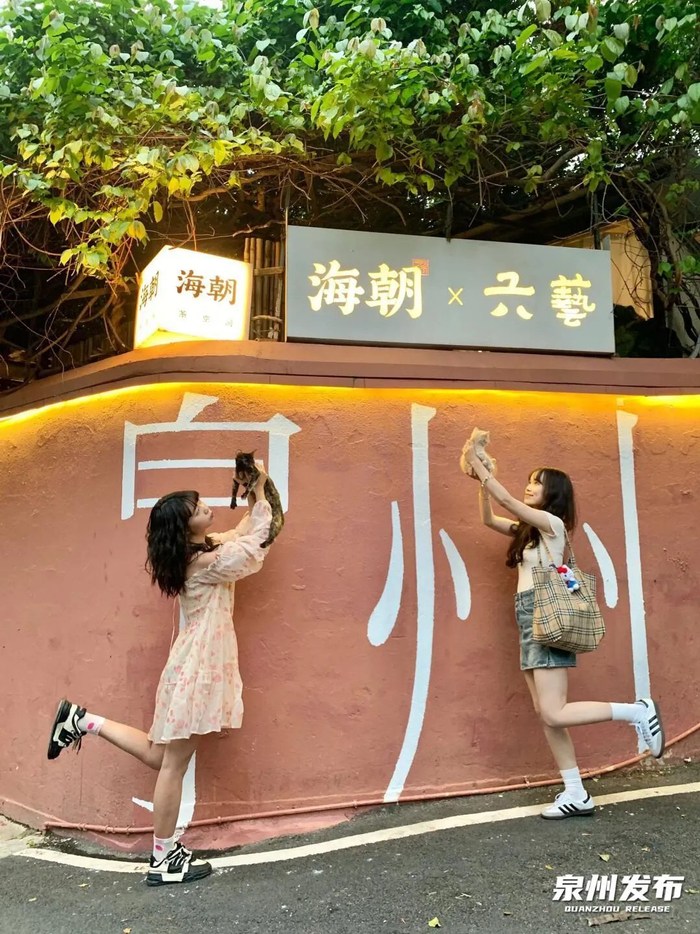 俩闺蜜带上小猫咪来打卡