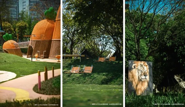 趣野Chill Wild公园实拍图（以政府规划建设为准）
