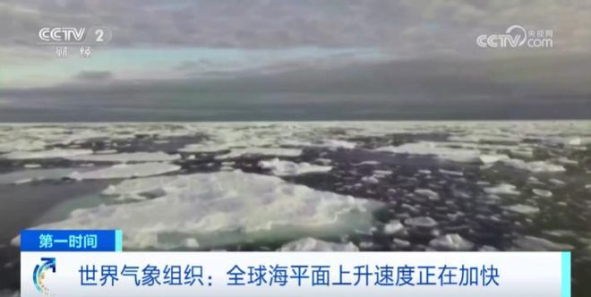 图片来源：中央电视台