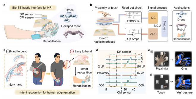 （来源：Advanced Functional Materials）