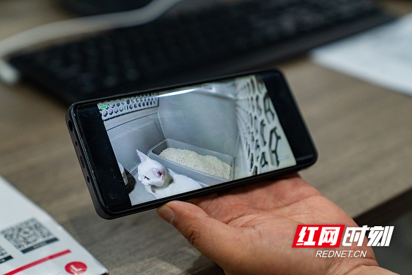 宠物状态可通过高铁宠物专用箱监测系统实时监测。