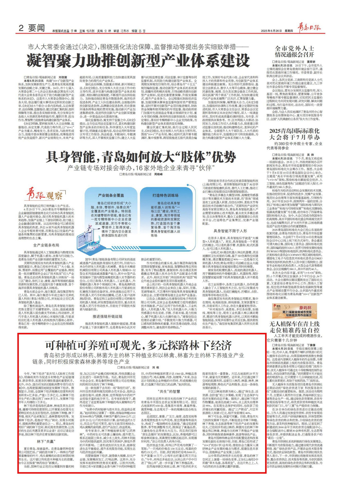 青岛日报2025年6月26日2版