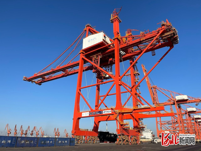 图为6月20日拍摄的新一代穿越式双小车自动化岸桥。唐港集团供图