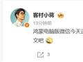 万众期待！鸿蒙电脑版微信已正式上架