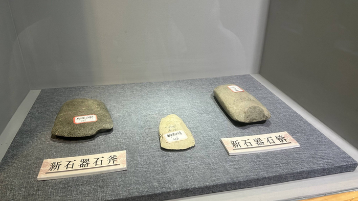 ▲新晃出土的新石器（怀化日报全媒体记者 补秀梅 摄）