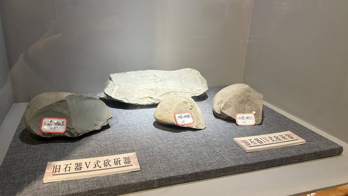 ▲新晃出土的旧石器（怀化日报全媒体记者 补秀梅 摄）